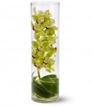 Орхідеї у вазі